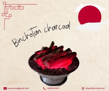 The Origins of Binchotan Charcoal