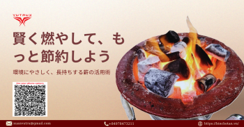 Tips for Using Firewood Effectively and Economically