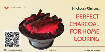 Which Charcoal is Suitable for Home Cooking? – A Complete Guide