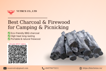 Which Type of Charcoal is Best for Camping & Picnicking?